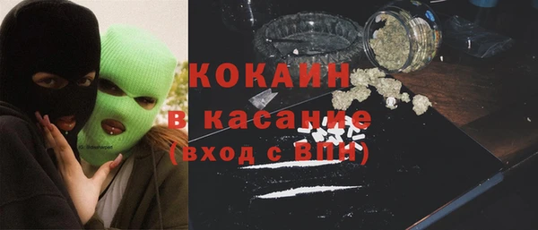 хмурый Арсеньев