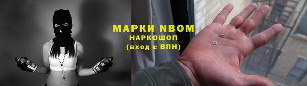 хмурый Арсеньев
