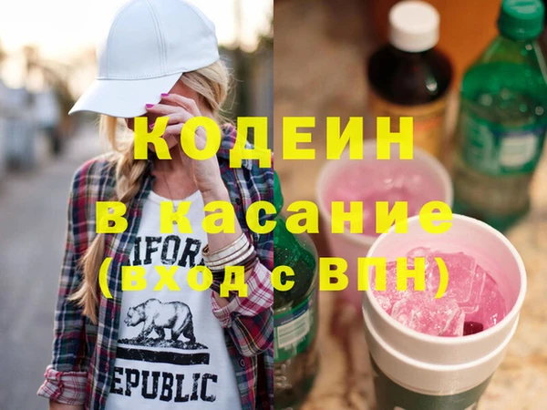 хмурый Арсеньев