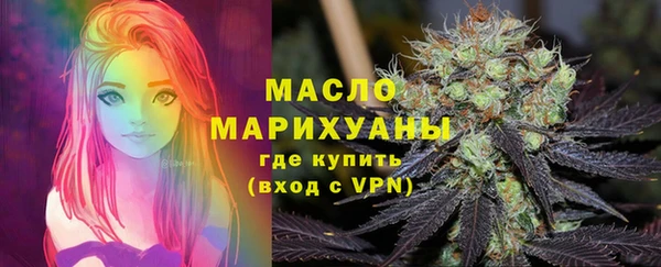 хмурый Арсеньев