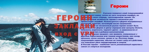 хмурый Арсеньев