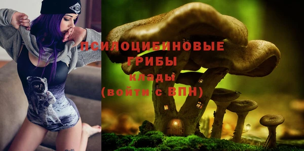 хмурый Арсеньев