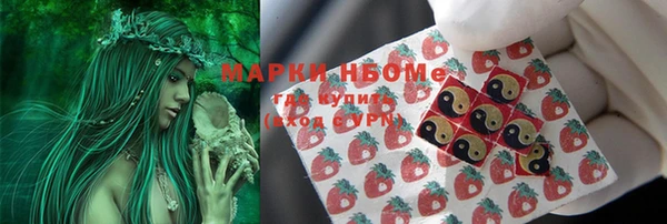 хмурый Арсеньев