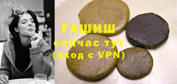 хмурый Арсеньев